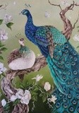 by nicolee payne