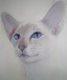 by Lilly Antoneavic