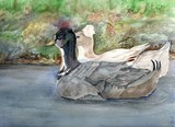 by Mary Tevebaugh