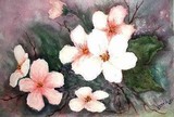 by Vicki Lerfald