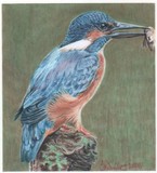by Joanne Woolley