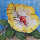 by Ingrid Kolster