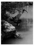 by Gaurav Chauhan