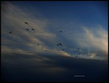 by Gaurav Chauhan