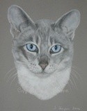 by Joanne Simpson-Connor