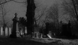 by Robert McLaughlin