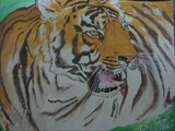by Rohit Prakash