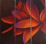 by Suzana Stimac