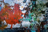 by Allan Philiba