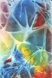 by amira el-fohail