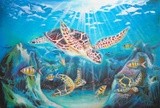 by Davinci Smith