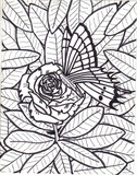 by Nevine Howard