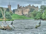 by David Rankin