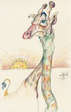 by Tom Jones-Berney