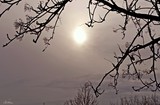 by Sigridur Bachmann