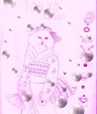 by Lili 