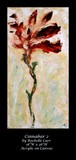 by Rochelle Carr