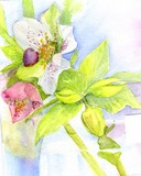 by Gwen Lewis
