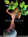 by Barbara Brown