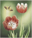 by Amy Turner