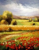 by Fehér István