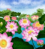 by Carolyn McFann