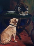 by Sue Johnson