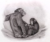by Andrew Gott
