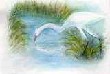 by Doris Blessington