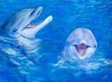 by jennifer  belote