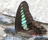 by Wayne Combridge 