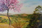 by carolina moura