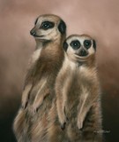by Mark Whittaker