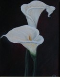 by Christine Faria