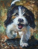 by Joan  Wulff