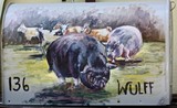 by Joan  Wulff