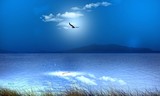 by Jerry Lee Cline