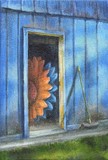 by Debbie Shirley