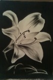 by Cole Soucie