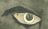 by Lou Caravana