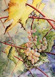 by Sheila Howell