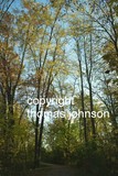 by Thomas Johnson