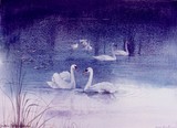 by francis kwok peng kin