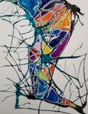 by Shamayra Smail