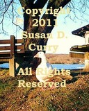 by Susan Curry