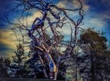 by Adri Joane Classian