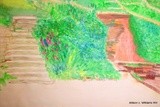 by Allison Williams Hill