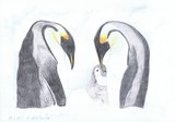 by Claudia Luethi alias Abdelghafar