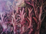 by RenataRegina Sabatowska-Melieste