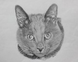 by Meaghan Metcalf